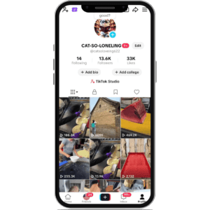buy aged tiktok account
